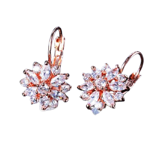 Women Clear Crystal Flower Cluster Earrings